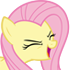 表情[小马/flutteryay.png]-EquestriaMemory